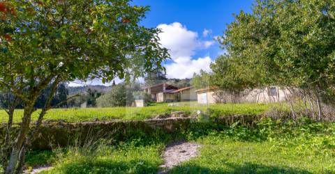 Quinta >=T10 Venda em Setúbal (São Julião, Nossa Senhora da Anunciada e Santa Maria da Graça),Setúbal