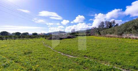 Quinta >=T10 Venda em Setúbal (São Julião, Nossa Senhora da Anunciada e Santa Maria da Graça),Setúbal