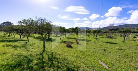 Quinta >=T10 Venda em Setúbal (São Julião, Nossa Senhora da Anunciada e Santa Maria da Graça),Setúbal