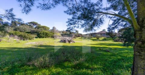 Quinta >=T10 Venda em Setúbal (São Julião, Nossa Senhora da Anunciada e Santa Maria da Graça),Setúbal