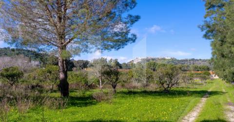 Quinta >=T10 Venda em Setúbal (São Julião, Nossa Senhora da Anunciada e Santa Maria da Graça),Setúbal