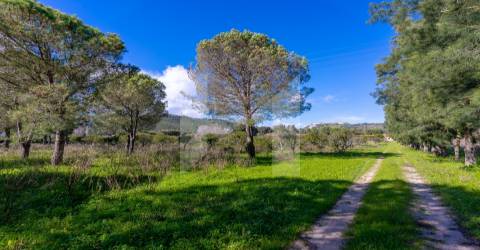 Quinta >=T10 Venda em Setúbal (São Julião, Nossa Senhora da Anunciada e Santa Maria da Graça),Setúbal