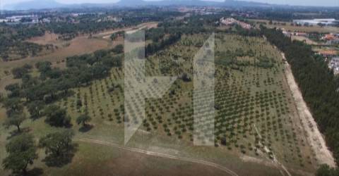 Terreno  Venda em Setúbal (São Julião, Nossa Senhora da Anunciada e Santa Maria da Graça),Setúbal