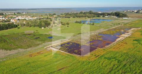 Terreno  Venda em Setúbal (São Julião, Nossa Senhora da Anunciada e Santa Maria da Graça),Setúbal