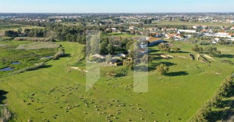 Terreno  Venda em Setúbal (São Julião, Nossa Senhora da Anunciada e Santa Maria da Graça),Setúbal