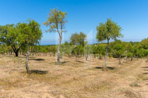 Herdade  Venda em Melides,Grândola