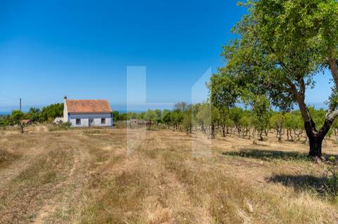 Herdade  Venda em Melides,Grândola