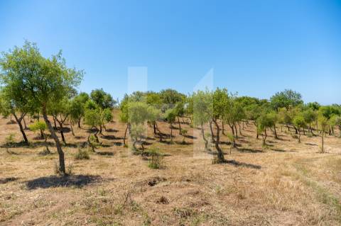 Herdade  Venda em Melides,Grândola
