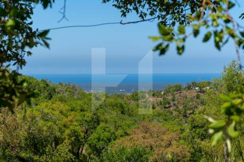Herdade  Venda em Melides,Grândola