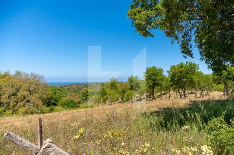 Herdade  Venda em Melides,Grândola