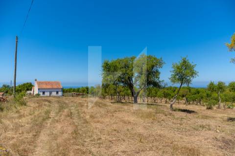 Herdade  Venda em Melides,Grândola