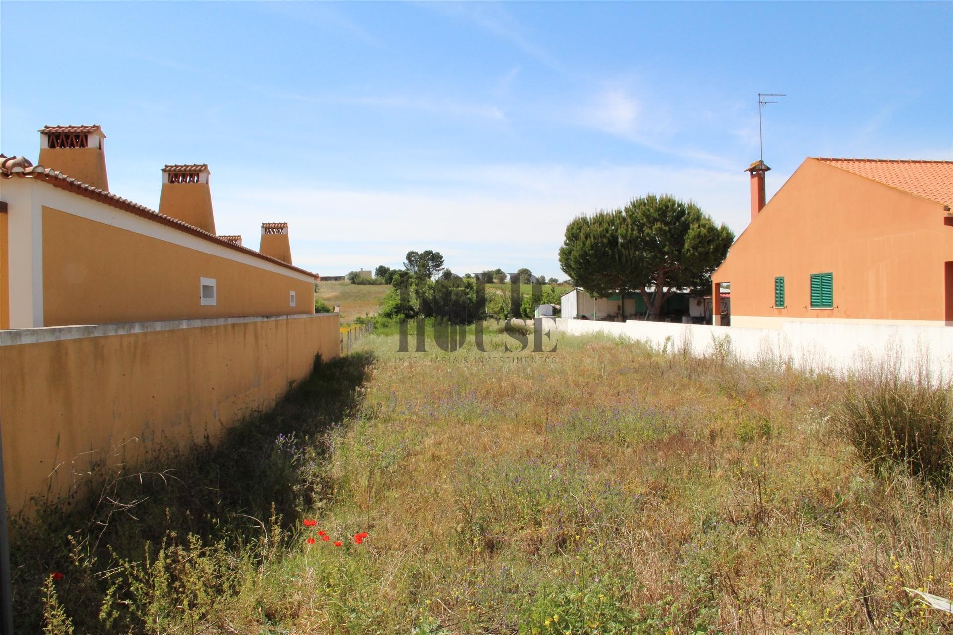 Terreno Rústico  Venda em Vila Chã de Ourique,Cartaxo