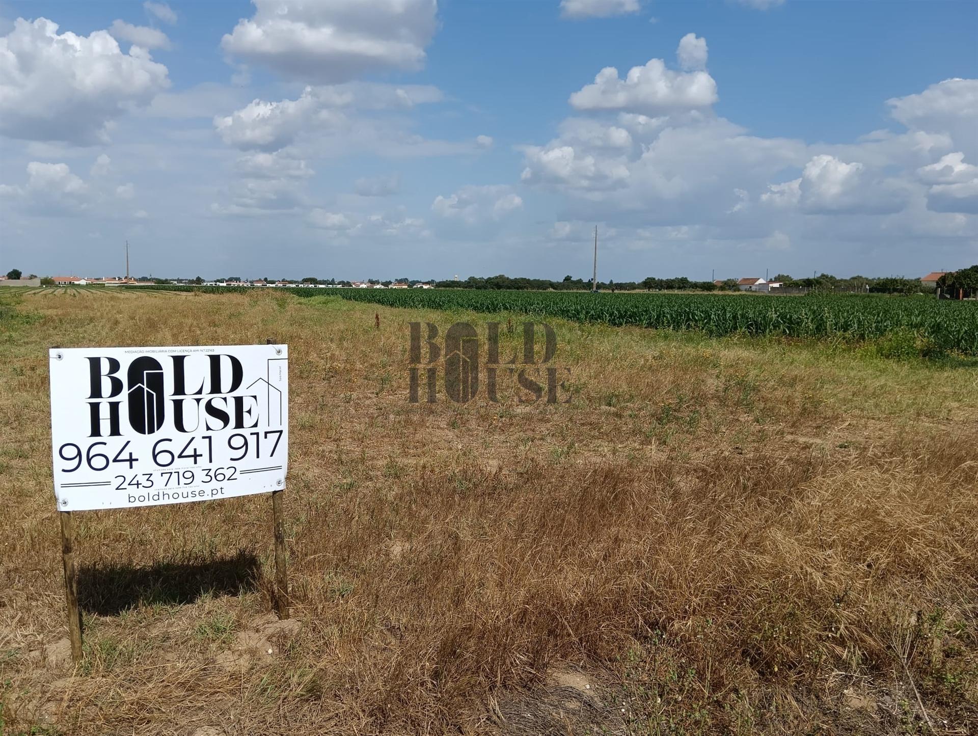 Terreno Para Construção  Venda em Salvaterra de Magos e Foros de Salvaterra,Salvaterra de Magos