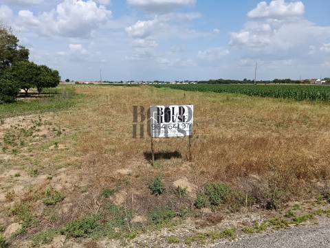 Terreno Para Construção  Venda em Salvaterra de Magos e Foros de Salvaterra,Salvaterra de Magos