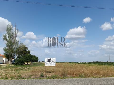 Terreno Para Construção  Venda em Salvaterra de Magos e Foros de Salvaterra,Salvaterra de Magos