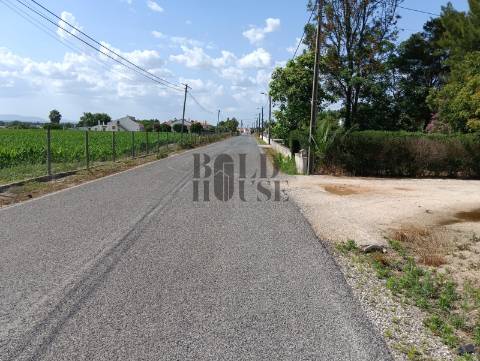 Terreno Para Construção  Venda em Salvaterra de Magos e Foros de Salvaterra,Salvaterra de Magos