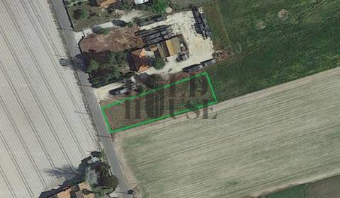 Terreno Para Construção  Venda em Salvaterra de Magos e Foros de Salvaterra,Salvaterra de Magos