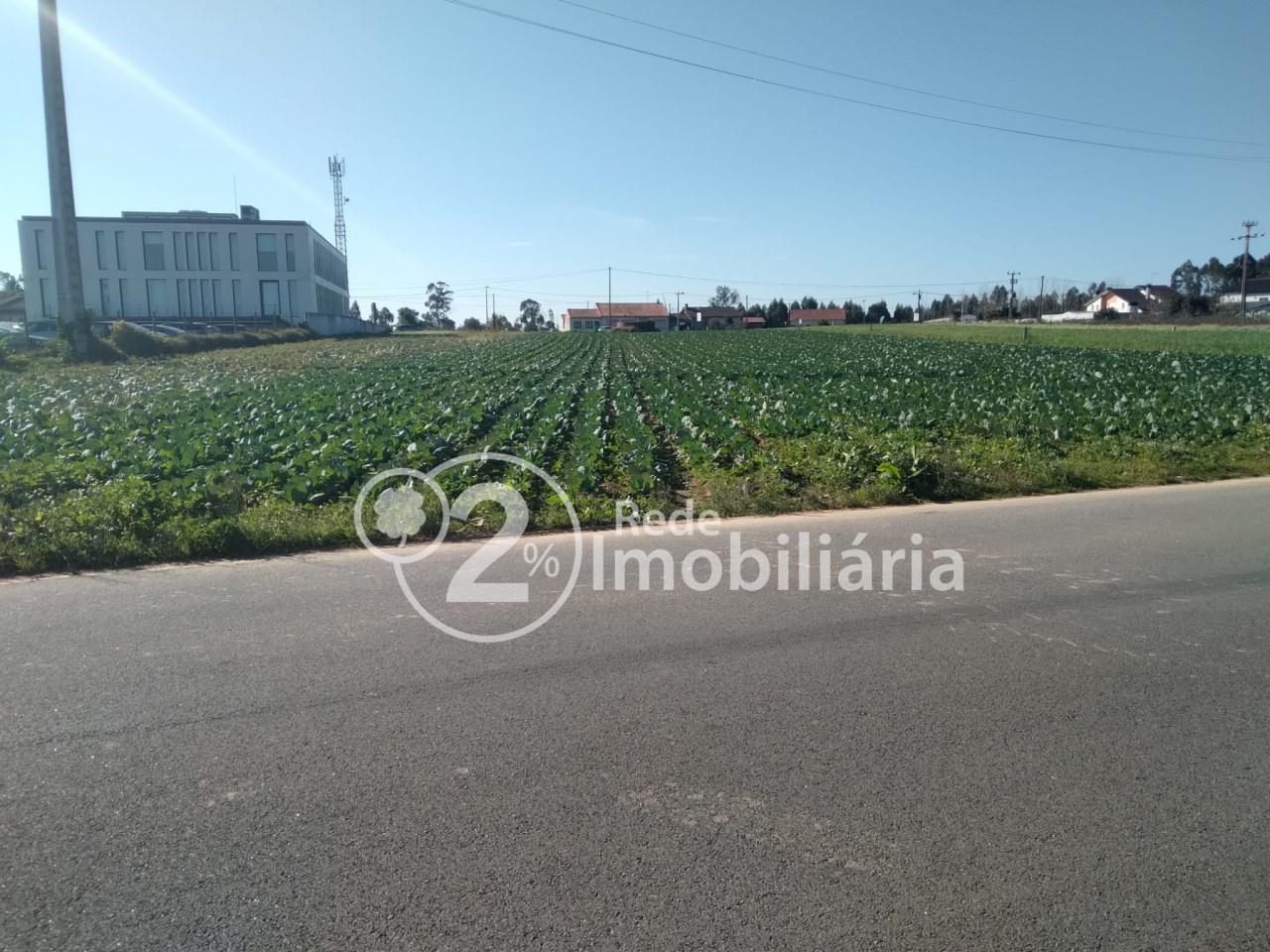 Terreno  Venda em Requeixo, Nossa Senhora de Fátima e Nariz,Aveiro