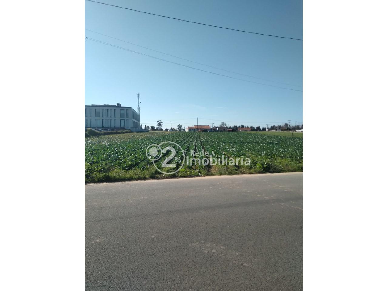 Terreno  Venda em Requeixo, Nossa Senhora de Fátima e Nariz,Aveiro