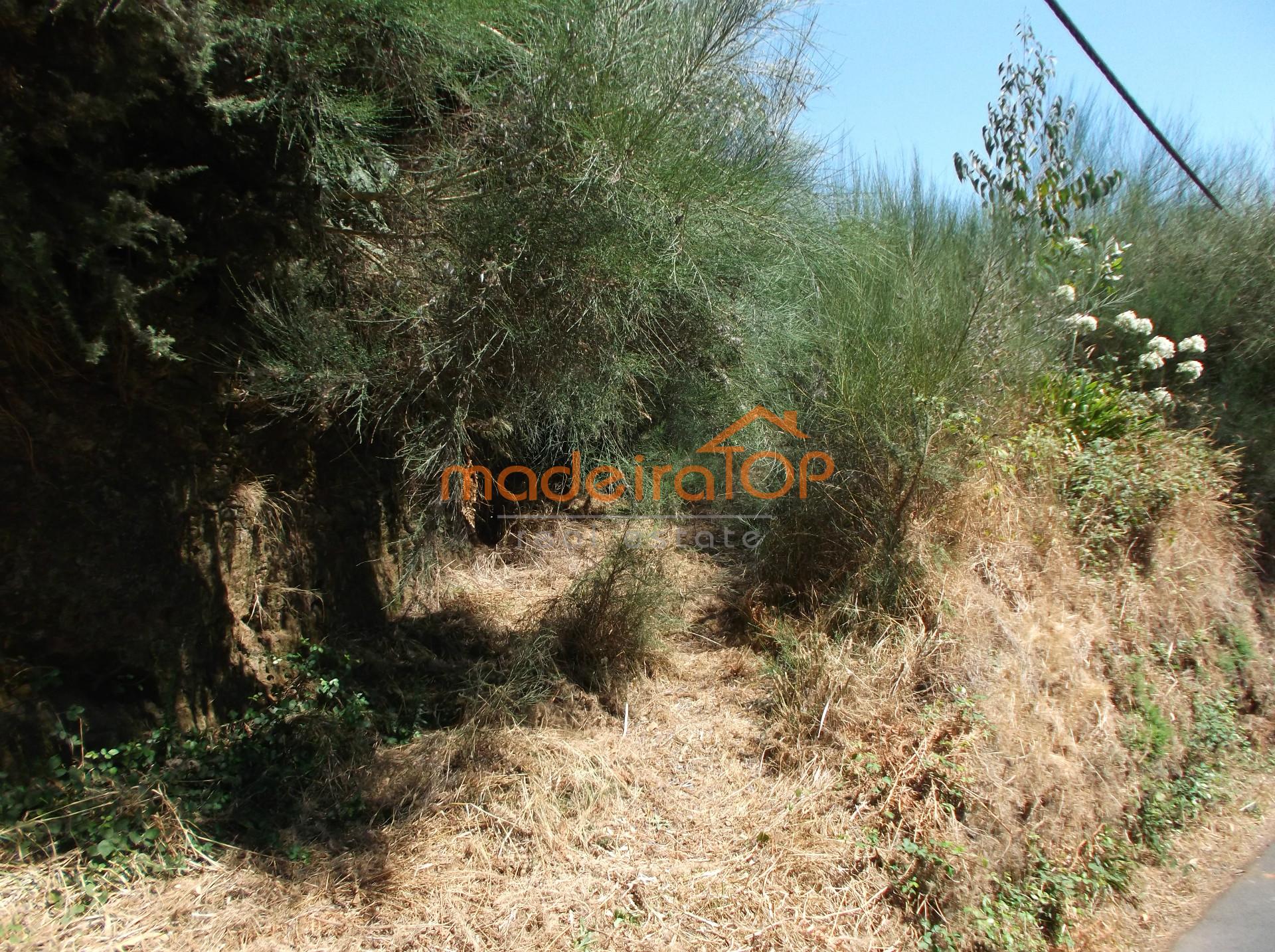 Lote de Terreno  Venda em Camacha,Santa Cruz