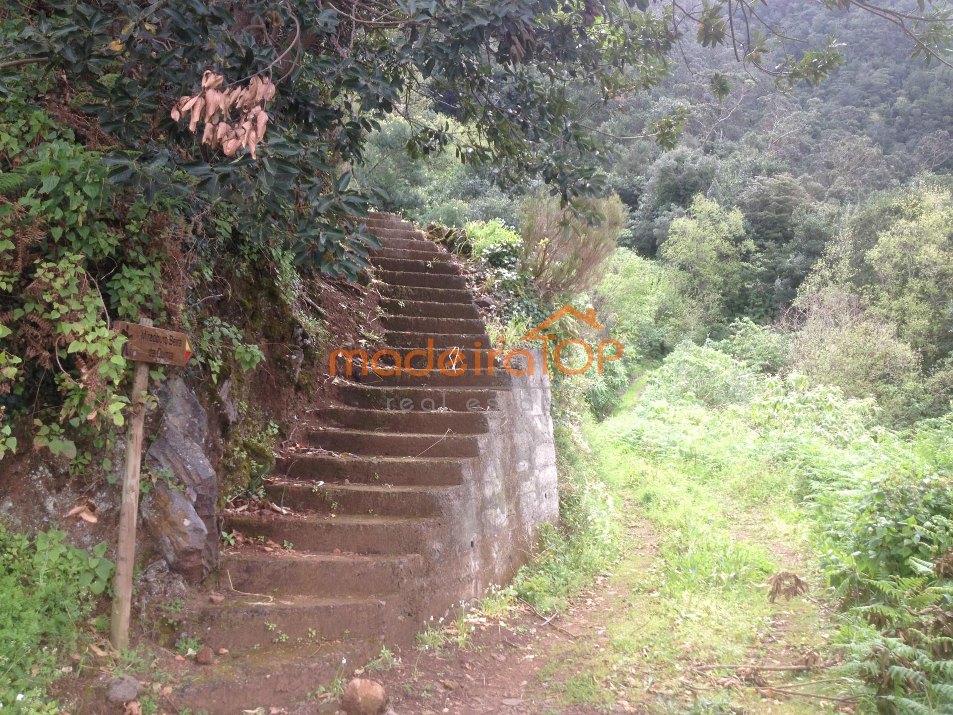 Lote de Terreno  Venda em Arco de São Jorge,Santana