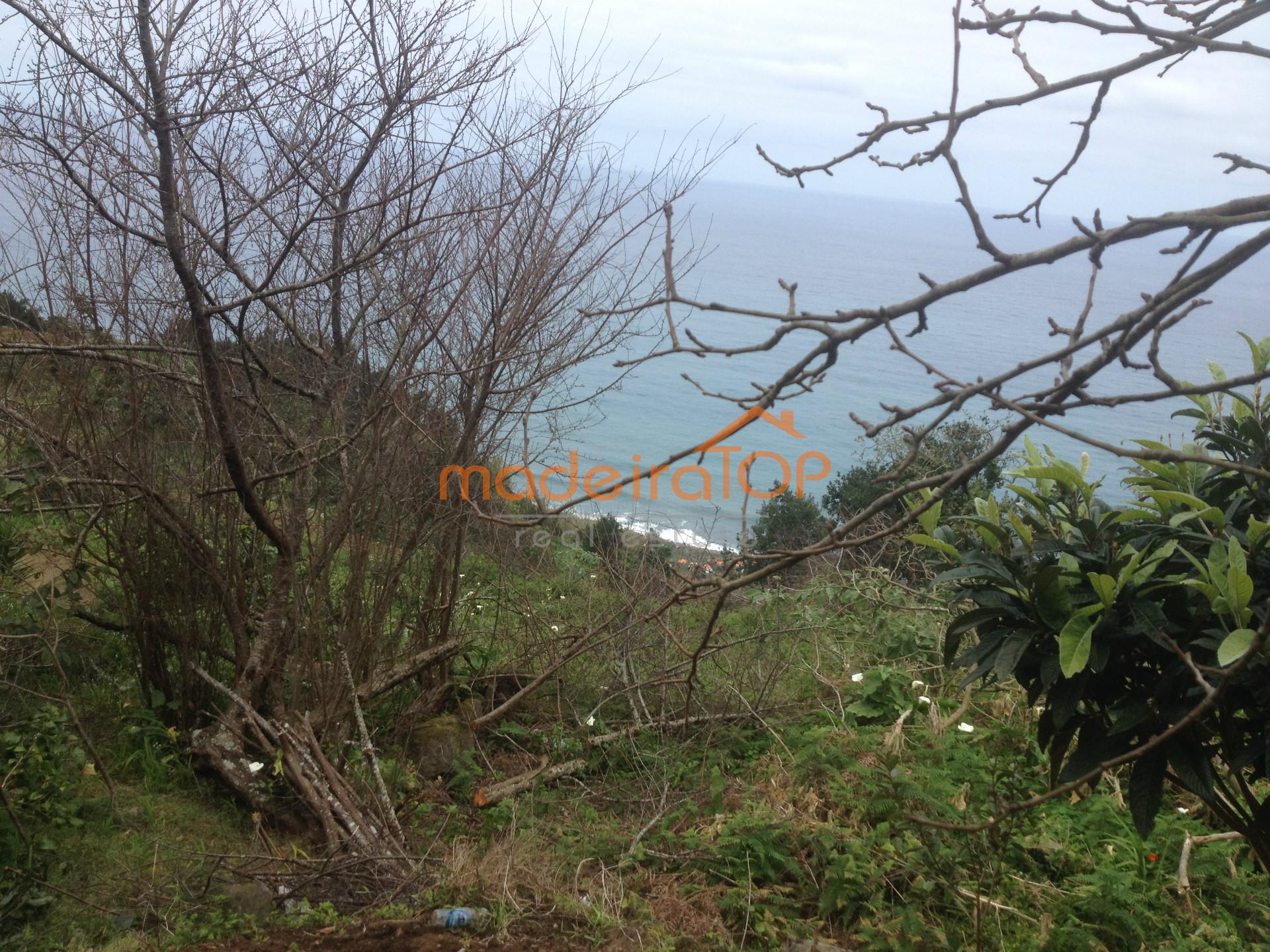 Lote de Terreno  Venda em Arco de São Jorge,Santana