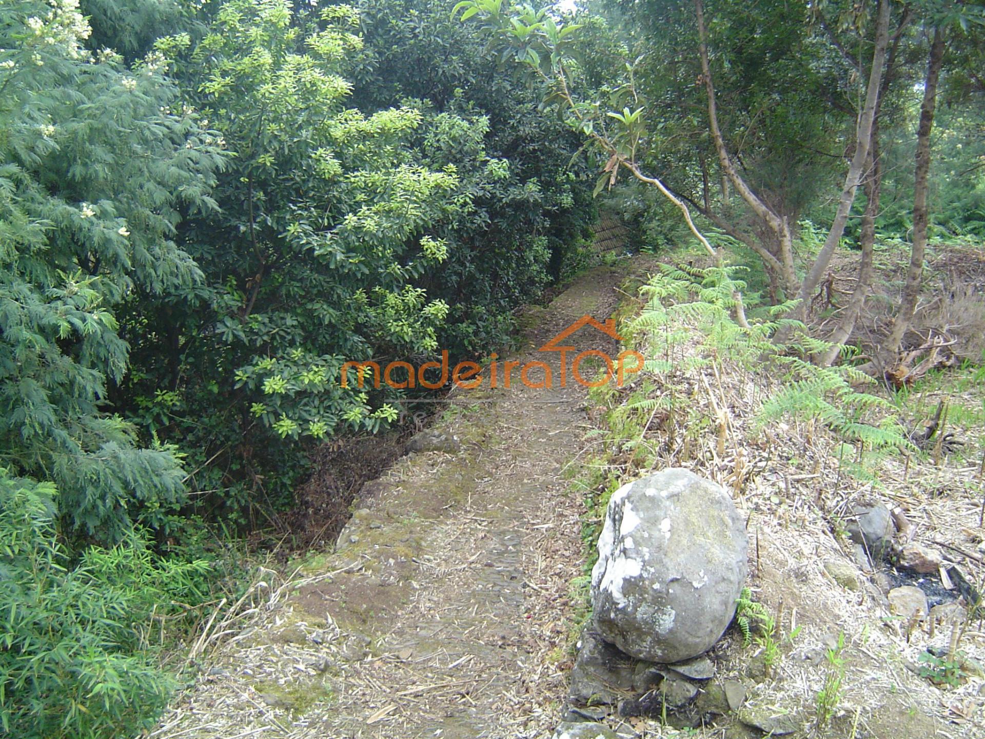 Lote de Terreno  Venda em Arco de São Jorge,Santana