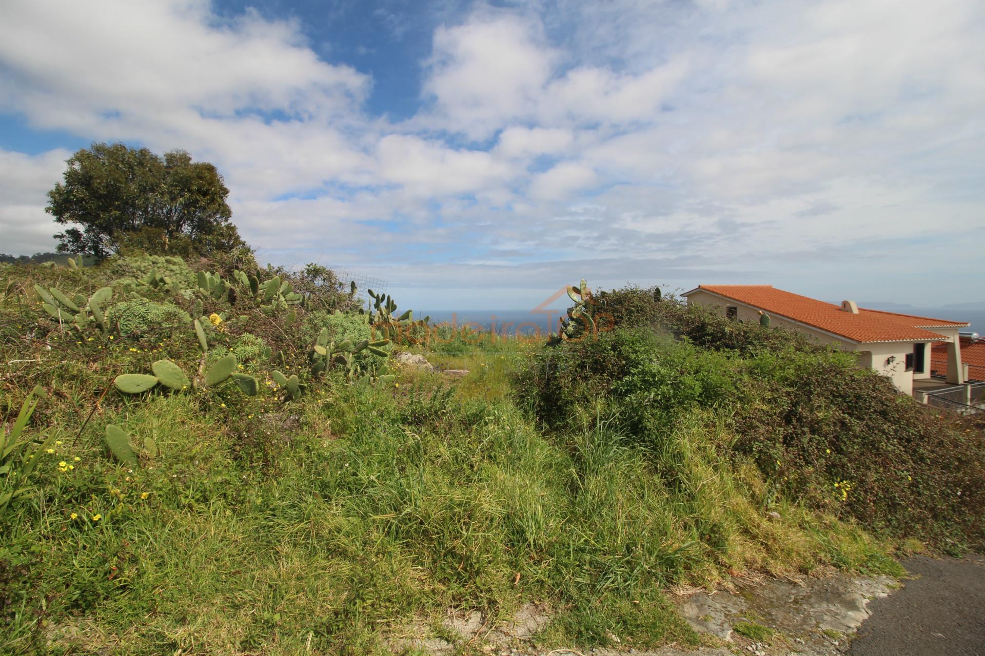 Lote de Terreno  Venda em Caniço,Santa Cruz