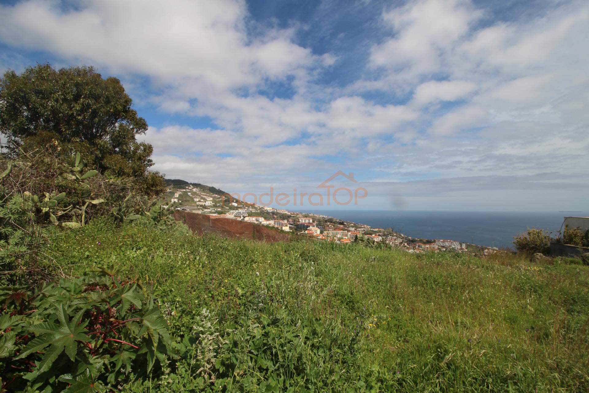 Lote de Terreno  Venda em Caniço,Santa Cruz