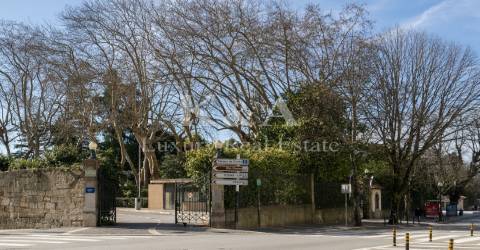 Dois prédios no centro do Porto