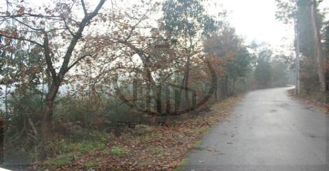 Terreno Rústico  Venda em Airão Santa Maria, Airão São João e Vermil,Guimarães