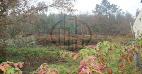 Terreno Rústico  Venda em Airão Santa Maria, Airão São João e Vermil,Guimarães