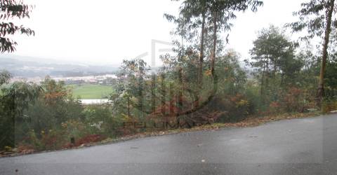Terreno Rústico  Venda em Airão Santa Maria, Airão São João e Vermil,Guimarães