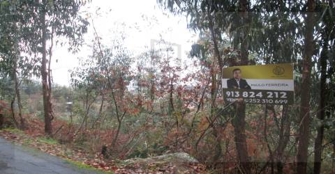 Terreno Rústico  Venda em Airão Santa Maria, Airão São João e Vermil,Guimarães