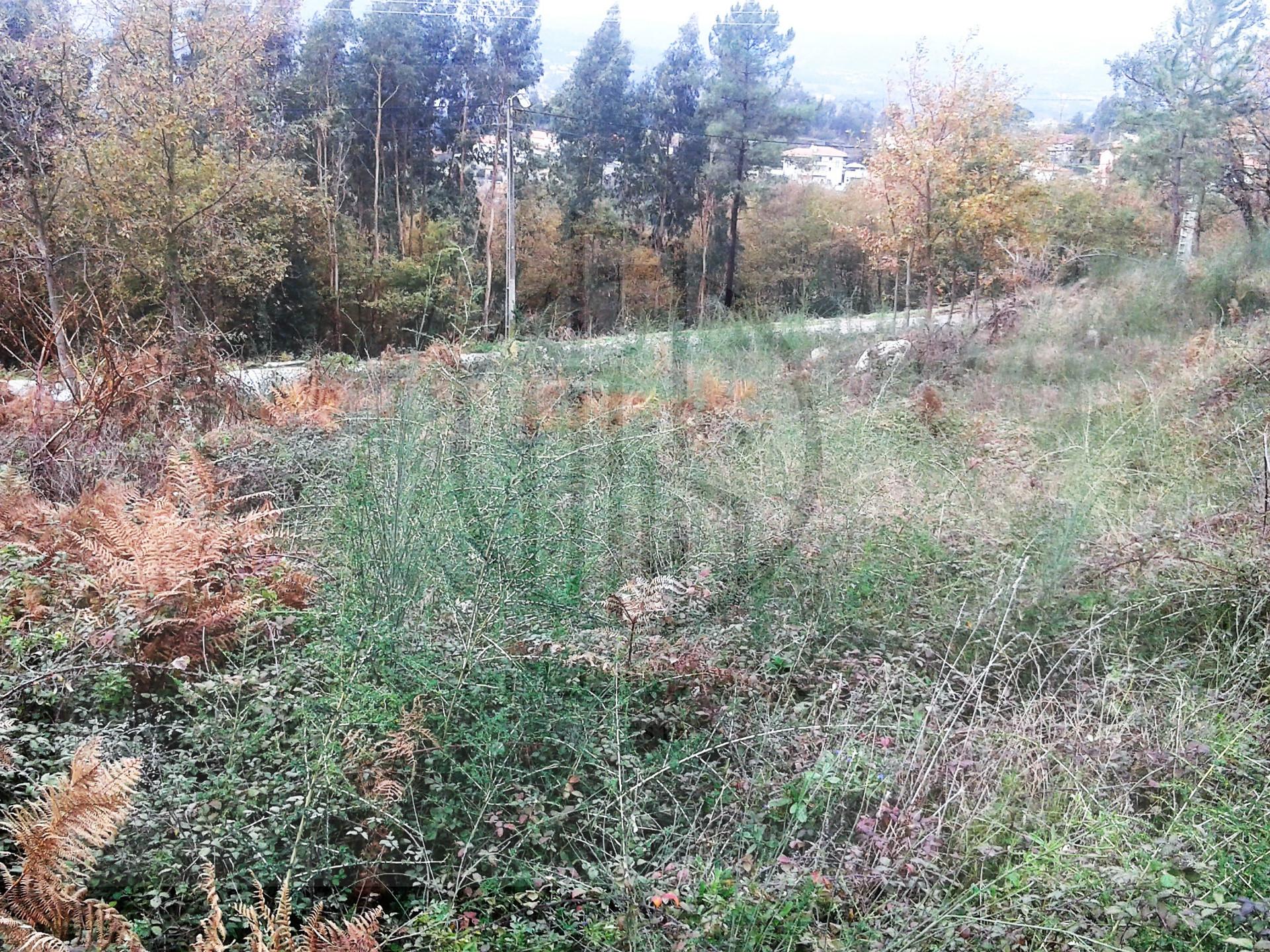 Terreno Rústico  Venda em Serzedelo,Guimarães