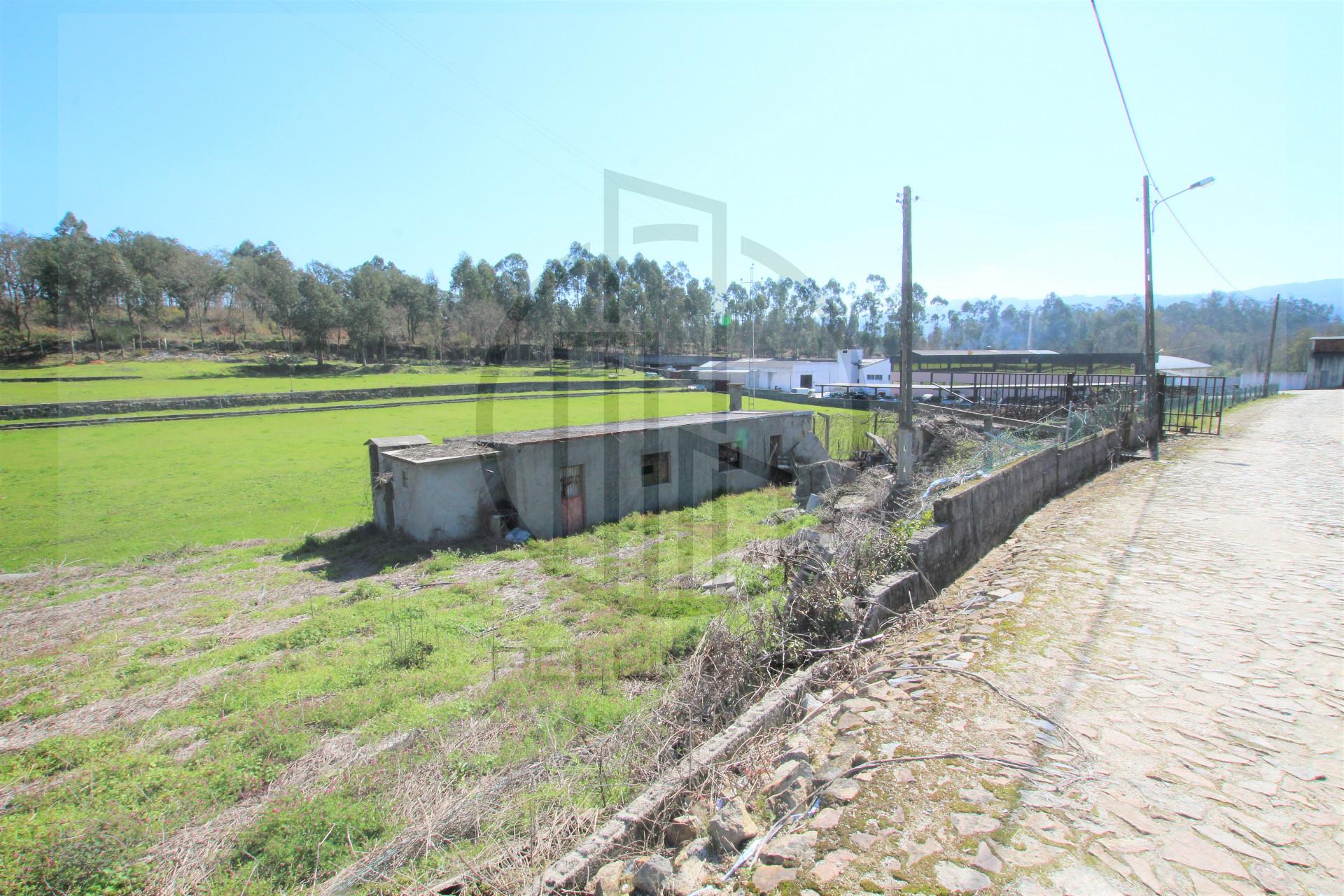 Lote de Terreno  Venda em Areias, Sequeiró, Lama e Palmeira,Santo Tirso