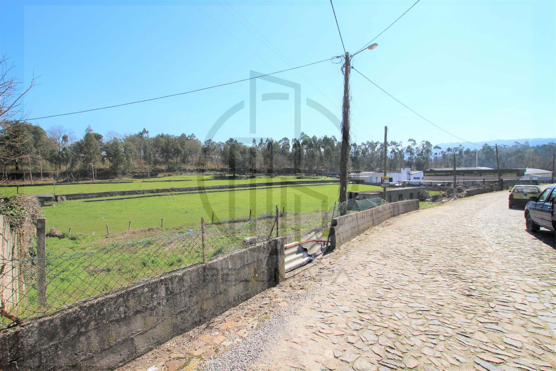 Lote de Terreno  Venda em Areias, Sequeiró, Lama e Palmeira,Santo Tirso