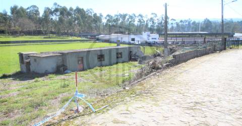 Lote de Terreno  Venda em Areias, Sequeiró, Lama e Palmeira,Santo Tirso