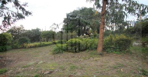 terreno para construção