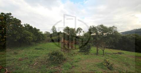 terreno para construção