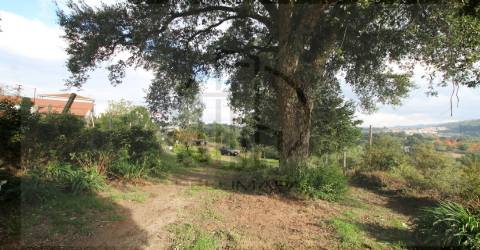 terreno para construção