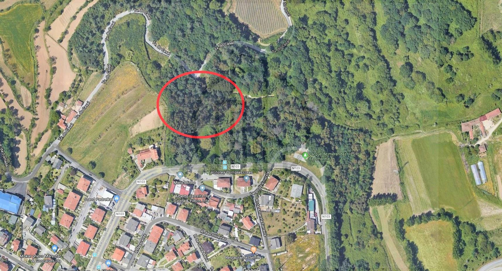 Terreno  Venda em Ferreiros e Gondizalves,Braga