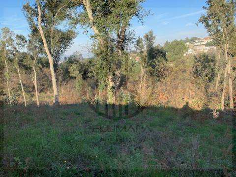 Terreno  Venda em Ferreiros e Gondizalves,Braga