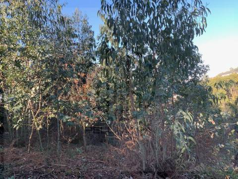 Terreno  Venda em Ferreiros e Gondizalves,Braga