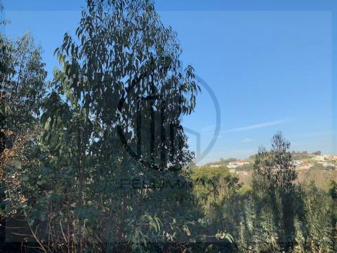 Terreno  Venda em Ferreiros e Gondizalves,Braga