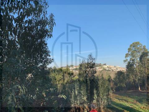 Terreno  Venda em Ferreiros e Gondizalves,Braga