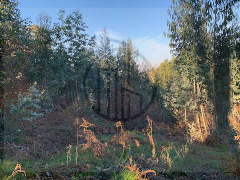 Terreno  Venda em Ferreiros e Gondizalves,Braga