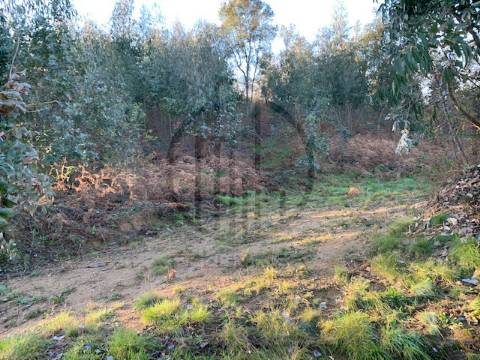 Terreno  Venda em Ferreiros e Gondizalves,Braga