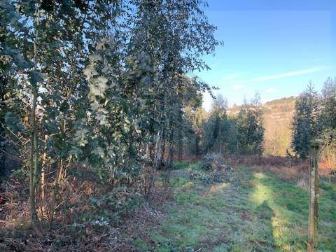 Terreno  Venda em Ferreiros e Gondizalves,Braga
