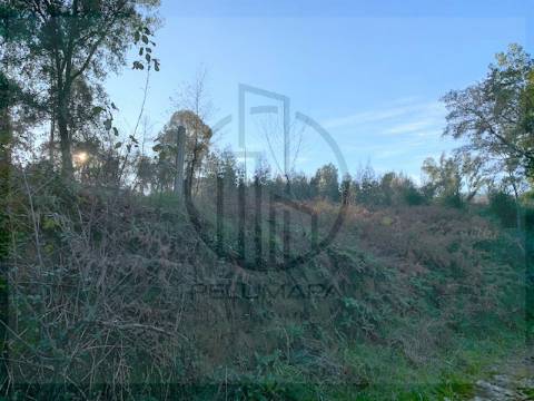 Terreno  Venda em Ferreiros e Gondizalves,Braga